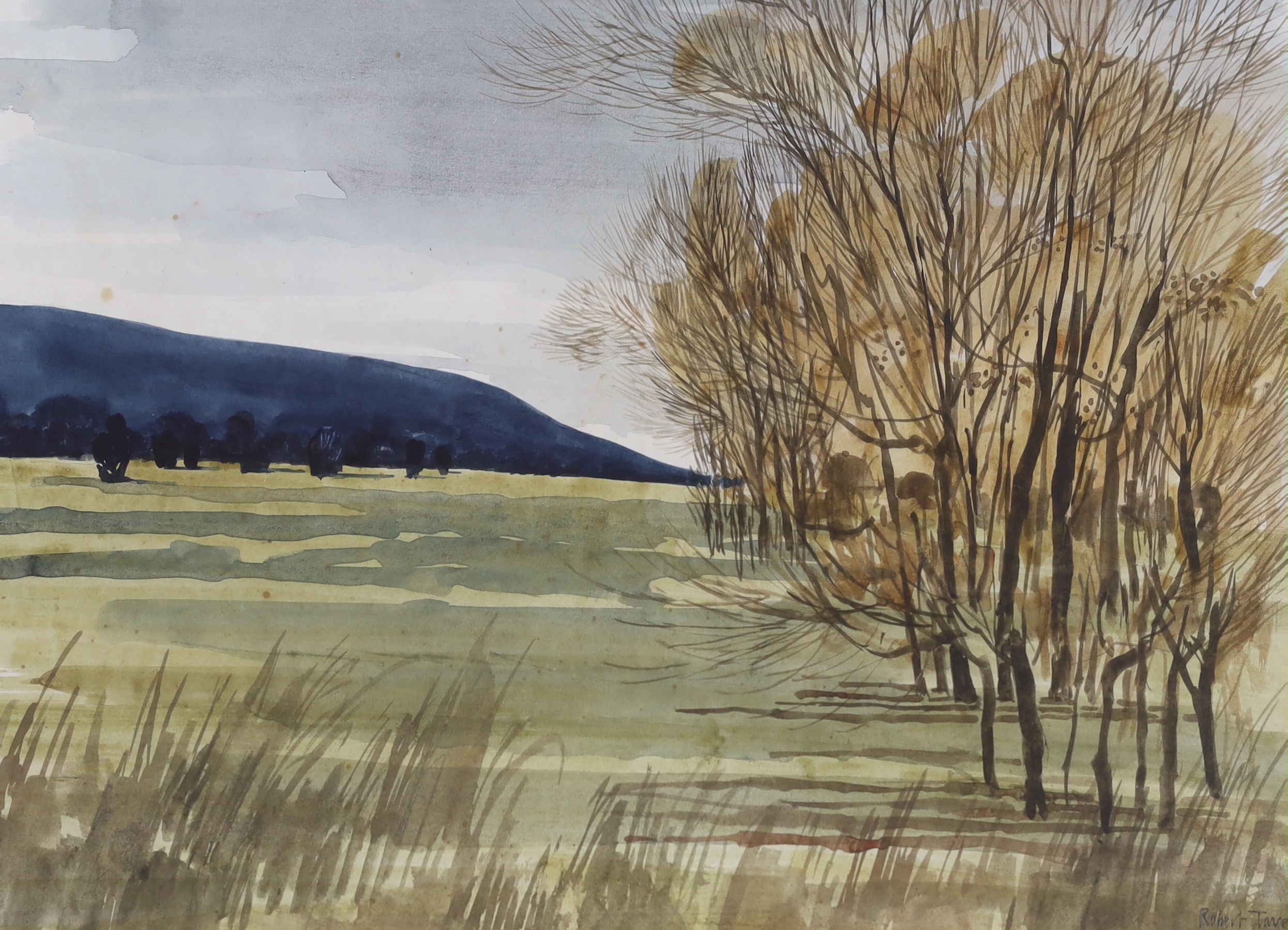 Robert Tavener (1920-2004), watercolour, Landscape with willow trees, signed, 33 x 45cm